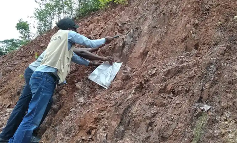 iron ore