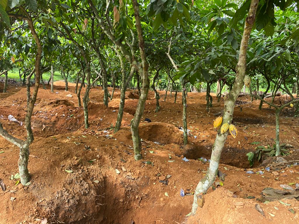 ILLEGAL MINING 2