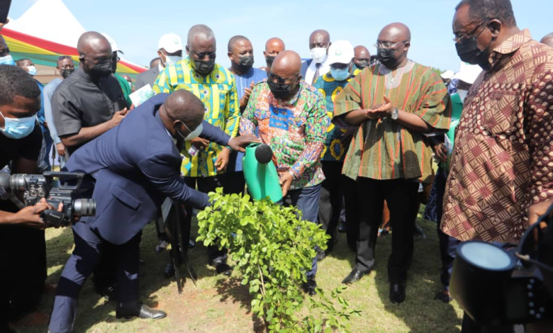 Green-Ghana-Day-Akufo-Addo-1024x681-1