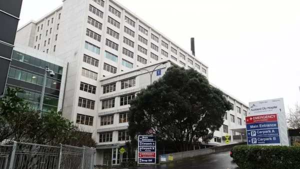 Plate-sized surgical tool left in woman's abdomen for 18 months - Gh ...