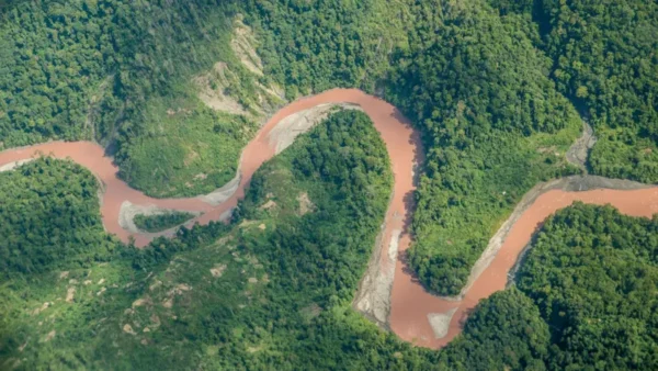 new guinea