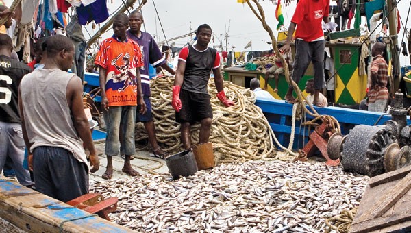 fishery