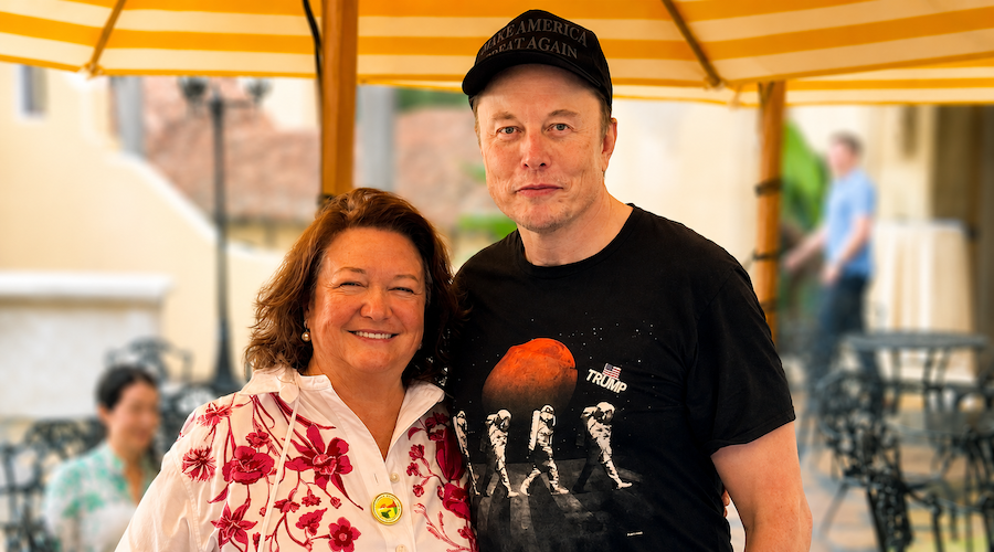 ginarinehart-elon