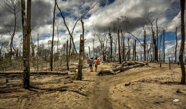 peru-illegal-mining-children