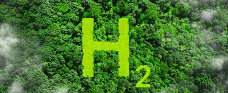 H2