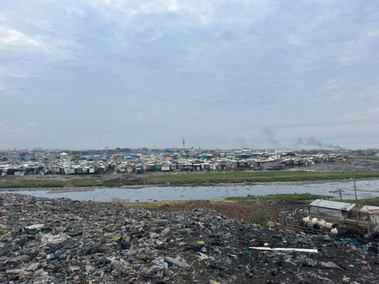 korle